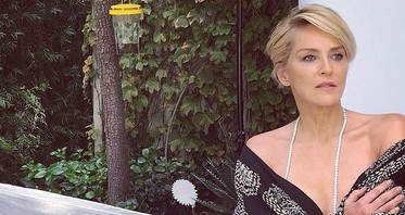 Sharon Stone’s Beauty Secret: Fillers Do More Than Erase Wrinkles