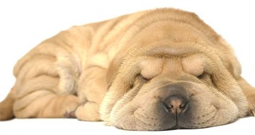 Dealing With Skin After Extreme Weight Loss