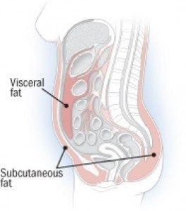 visceral fat vs subcutaneous fat