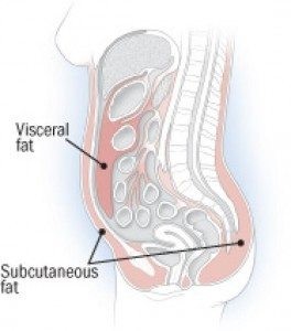 What Causes Belly Fat in Women & Proven Ways of Losing It - Salameh Plastic  Surgery Center