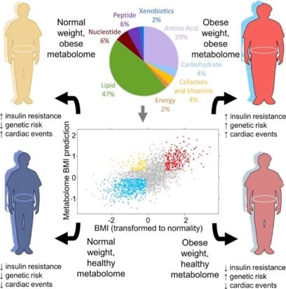 Is BMI an Accurate Predictor of Health?